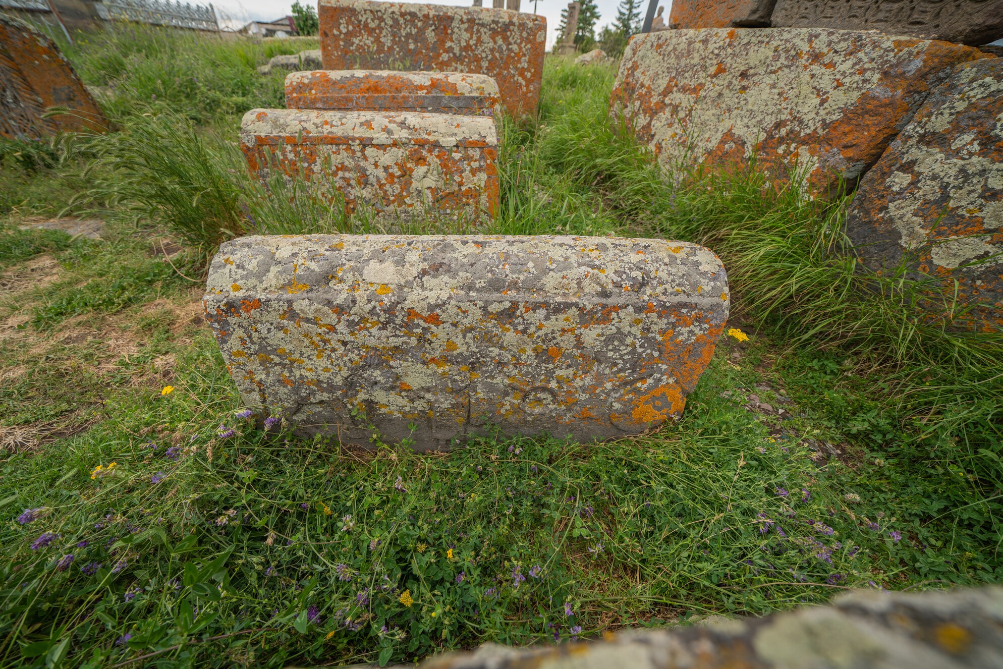 Noratus tapanakar 05-2 - Original 1