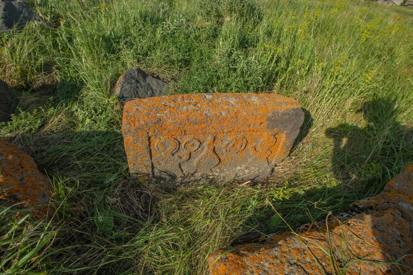 Tsovak 08-02 - Original 1